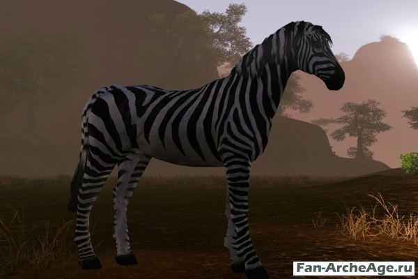 Зебра ездовое животное archeage
